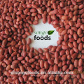 Raw four red skin peanuts for sale